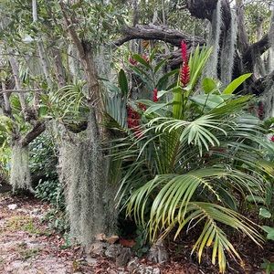 Meet your Posher, Reese